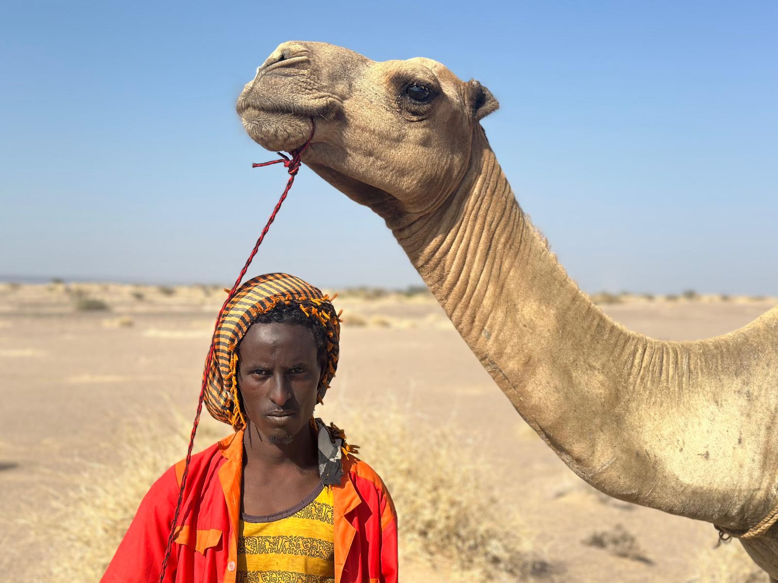 Djibouti Travel Guide 2026: Best Things to Do, Itineraries, Budget & Local Tips